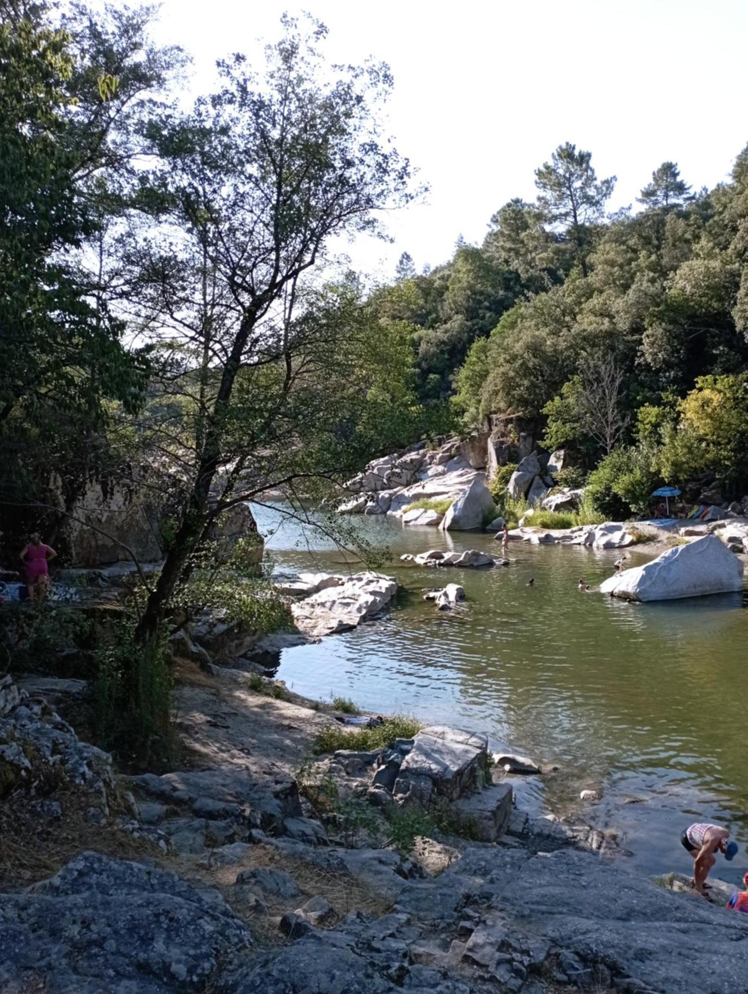 Chambre D'Hote Dans Mas Proche Anduze Cevennes Avec Piscine Bed & Breakfast Mialet  Ngoại thất bức ảnh