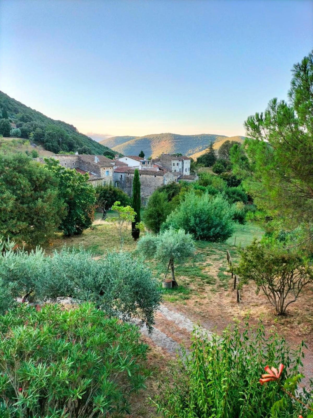 Chambre D'Hote Dans Mas Proche Anduze Cevennes Avec Piscine Bed & Breakfast Mialet  Ngoại thất bức ảnh