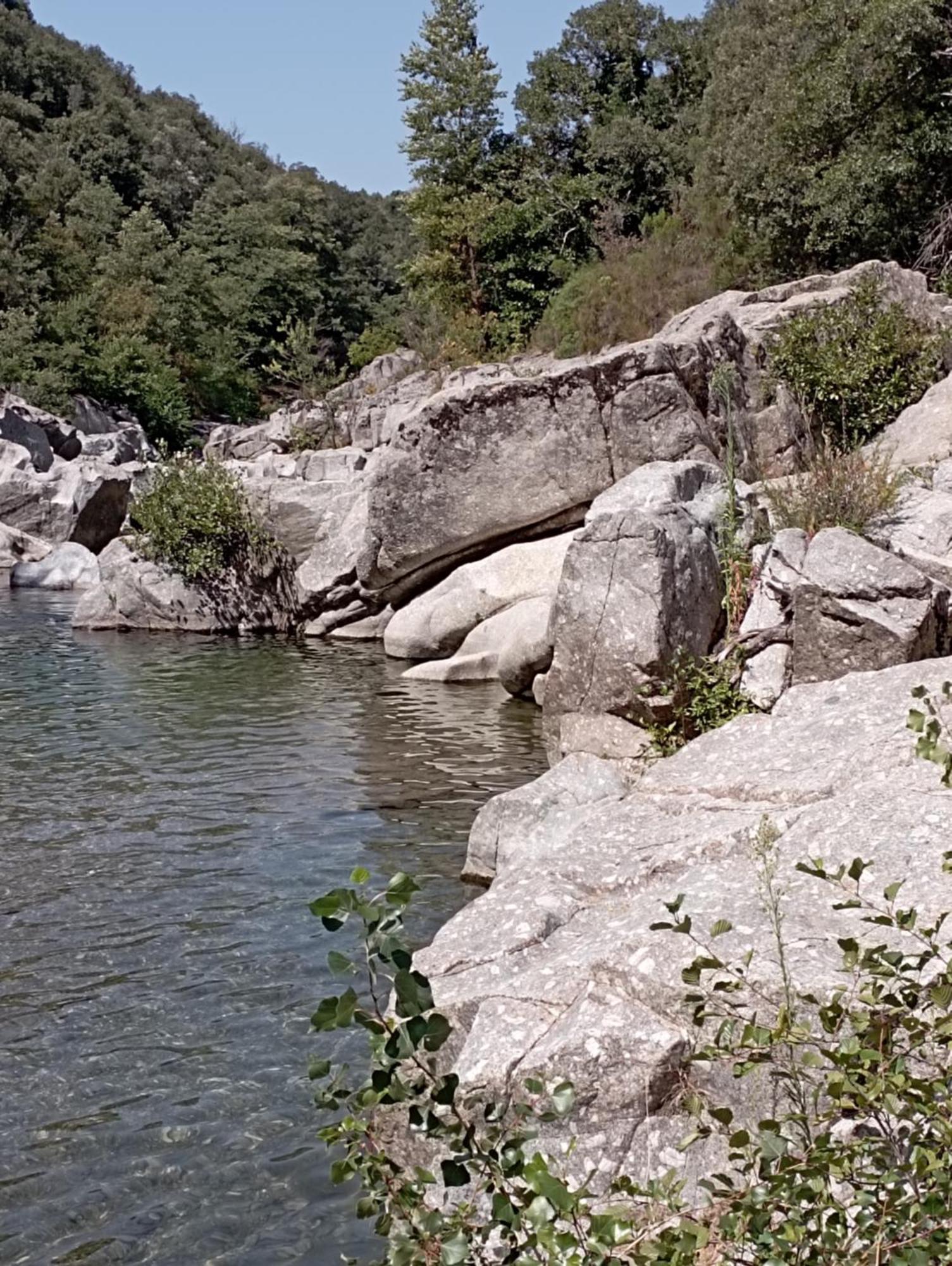 Chambre D'Hote Dans Mas Proche Anduze Cevennes Avec Piscine Bed & Breakfast Mialet  Ngoại thất bức ảnh