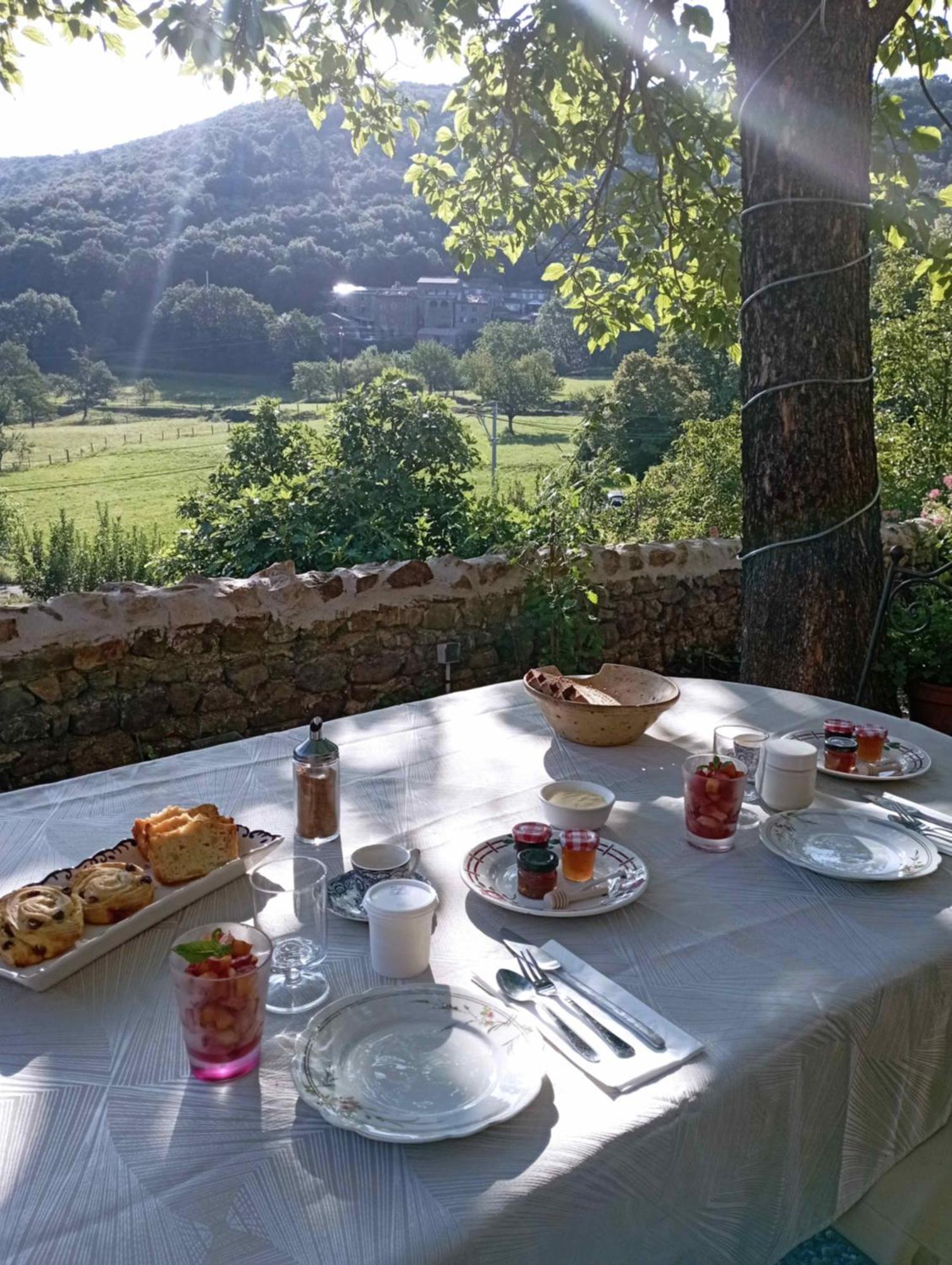 Chambre D'Hote Dans Mas Proche Anduze Cevennes Avec Piscine Bed & Breakfast Mialet  Ngoại thất bức ảnh