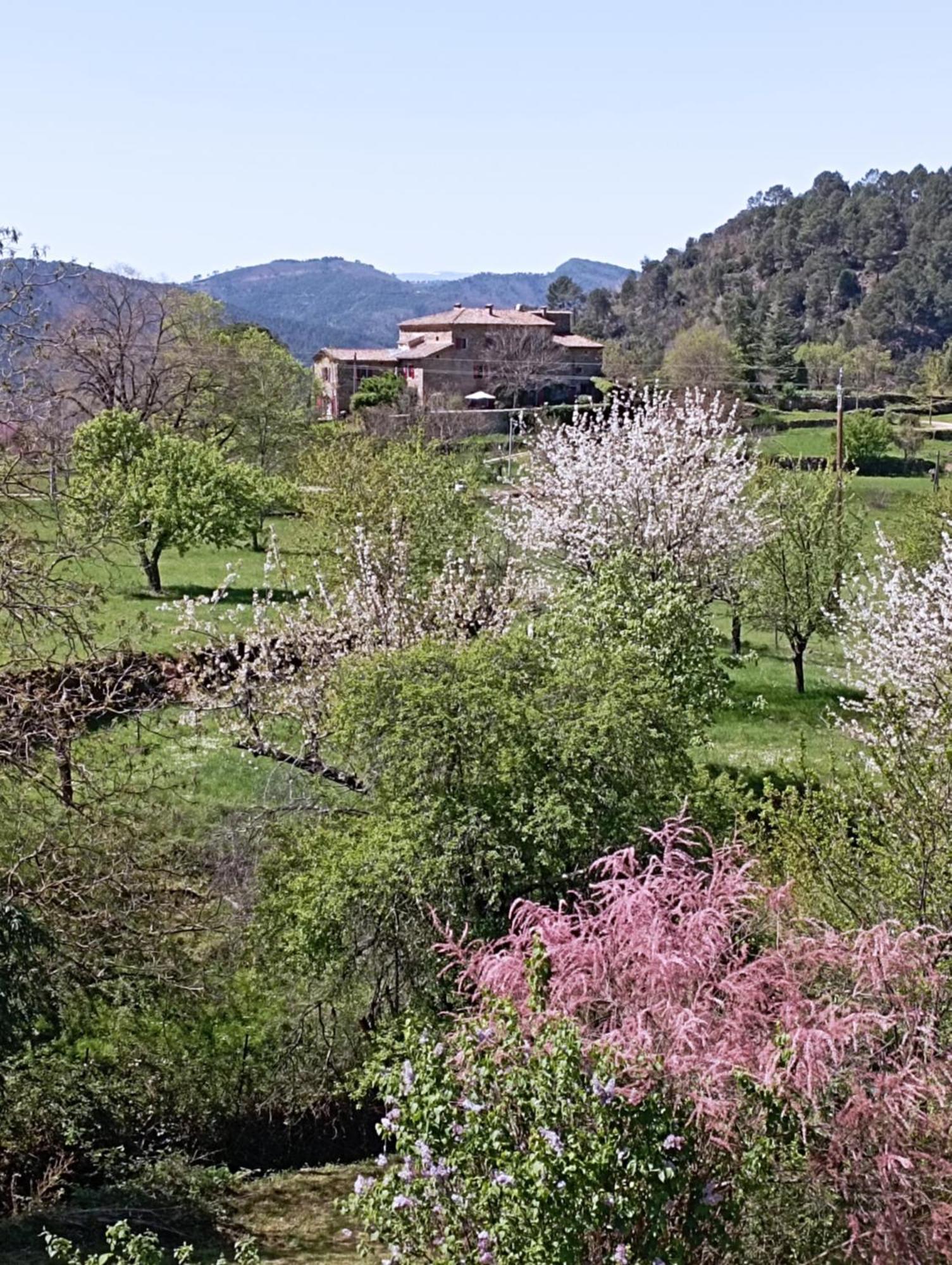 Chambre D'Hote Dans Mas Proche Anduze Cevennes Avec Piscine Bed & Breakfast Mialet  Ngoại thất bức ảnh