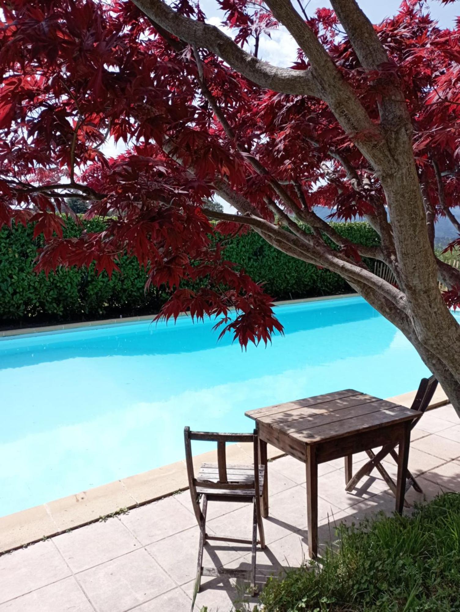 Chambre D'Hote Dans Mas Proche Anduze Cevennes Avec Piscine Bed & Breakfast Mialet  Ngoại thất bức ảnh